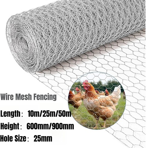 Chicken wire mesh fencing - wire,