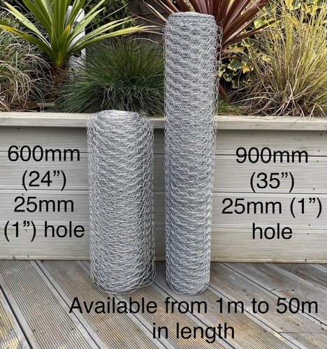 Galvanised chicken wire mesh - ,