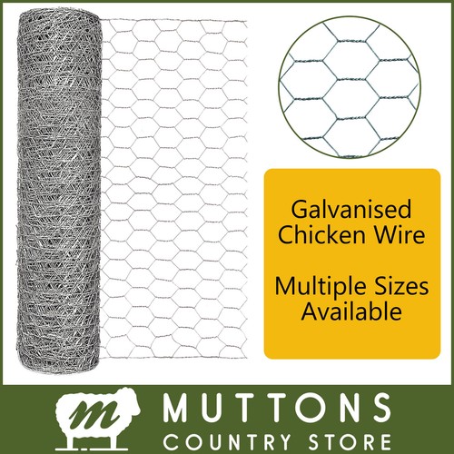 Galvanised chicken wire mesh - galvanised,