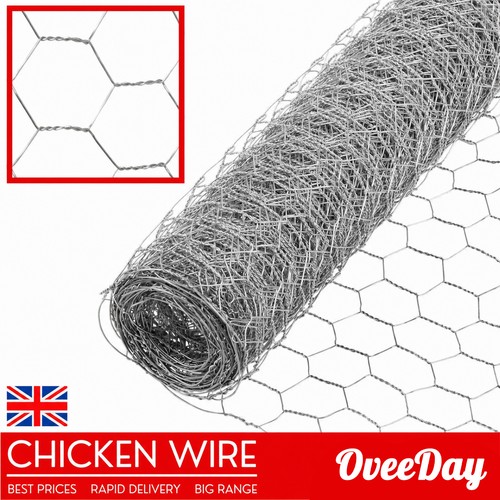 Chicken wire mesh fencing - chicken,