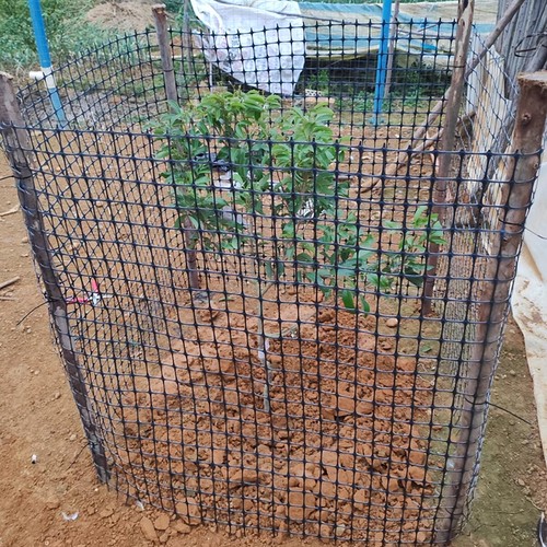 Pvc coated black chicken - pvc,