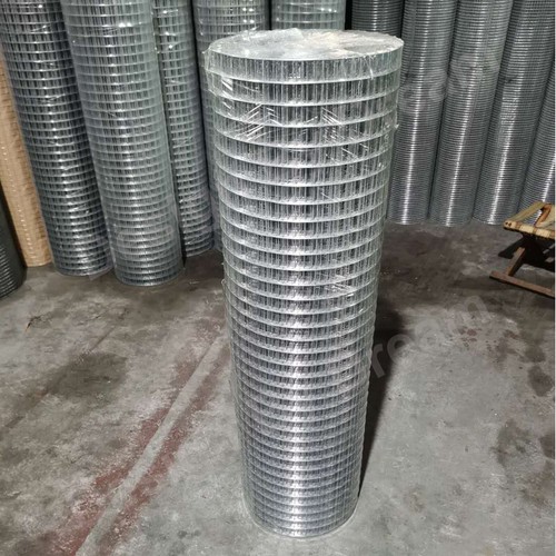 Galvanised welded wire - wire, mesh