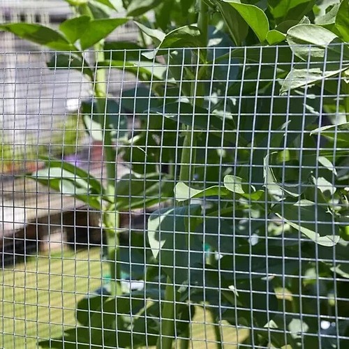 Galvanised welded wire mesh - galvanised,
